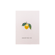 Load image into Gallery viewer, Celtic Herbal x Folded London Welsh Language Greeting Cards - Penblwydd Hapus Iwan
